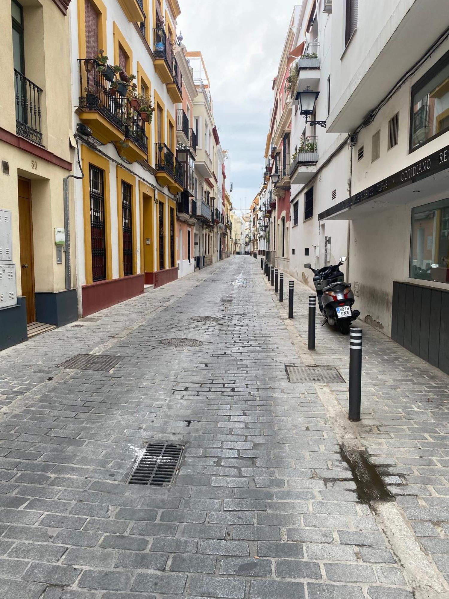 Aym Places Maestranza Daire Sevilla Oda fotoğraf